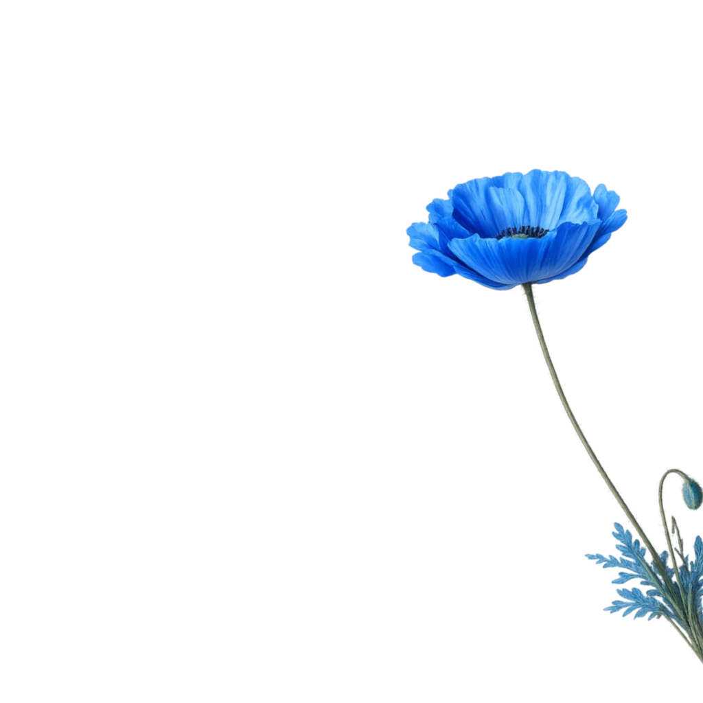 untitled design (37)